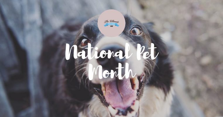 National Pet Month | The Ultimate Public Holiday Guide