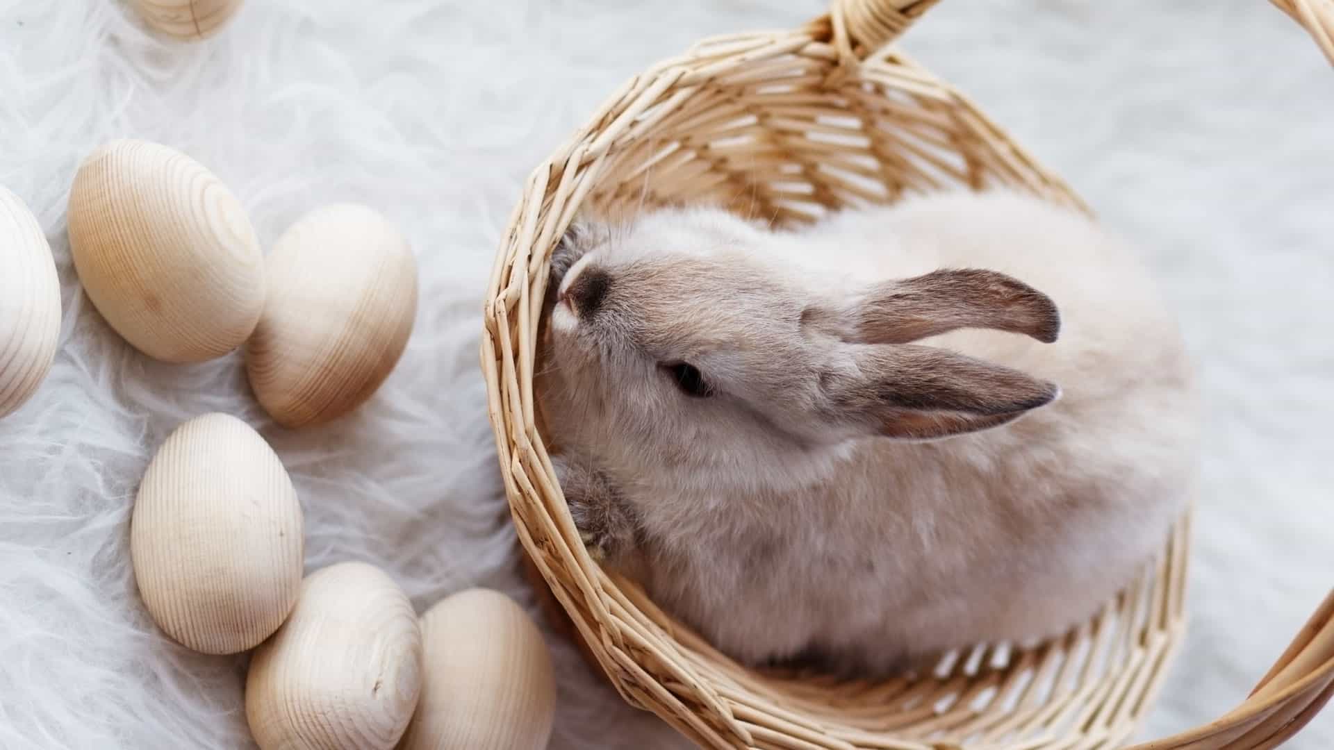 When Is Good Friday And Is It A Bank Holiday Public Holiday Guide